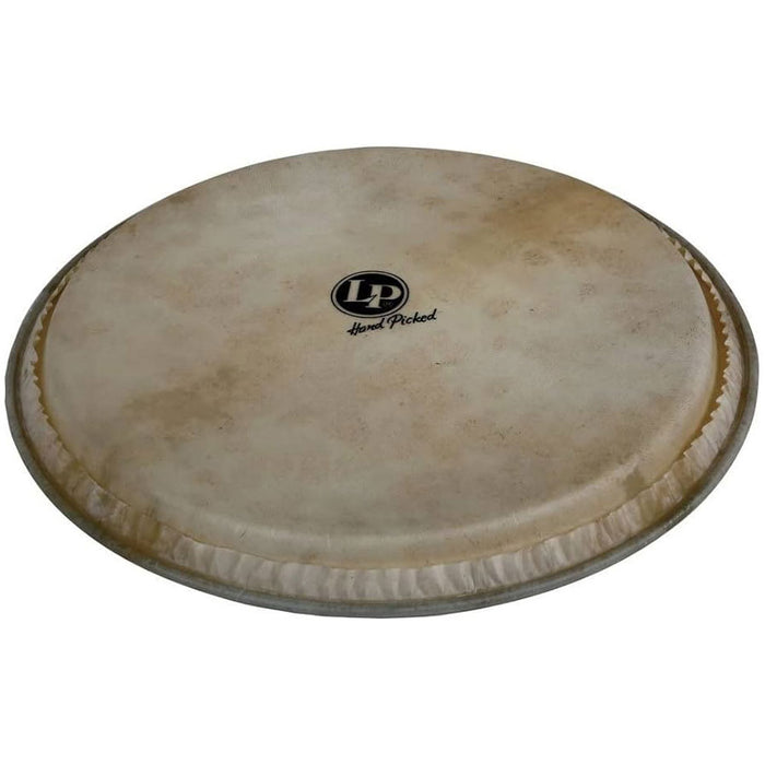 LP 14" Galaxy Djembe Replacement Head
