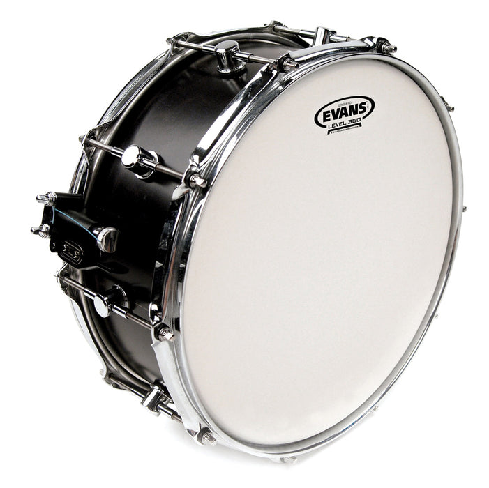 Evans 14" Genera HD Coated