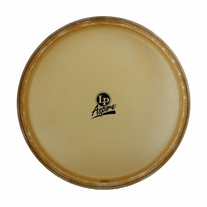 LP Aspire Replacement Head - Quinto 10" Rawhide
