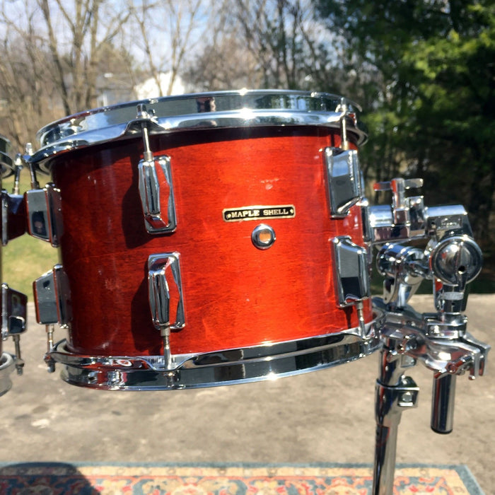 Pearl Late 70's Maple 5pc Shell Pack in Walnut Gloss